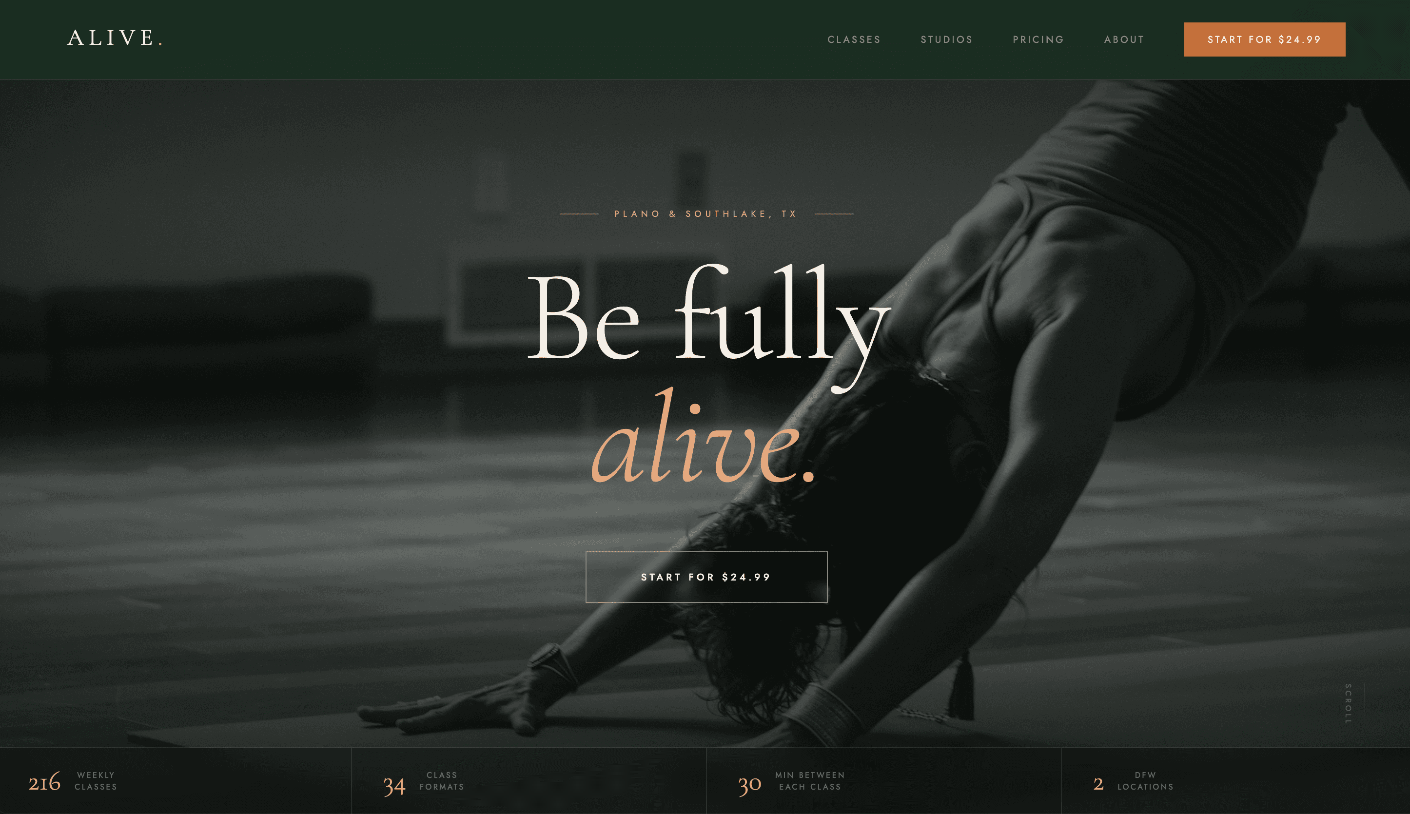 ALIVE YOGA STUDIO